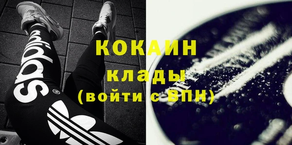 стаф Балахна