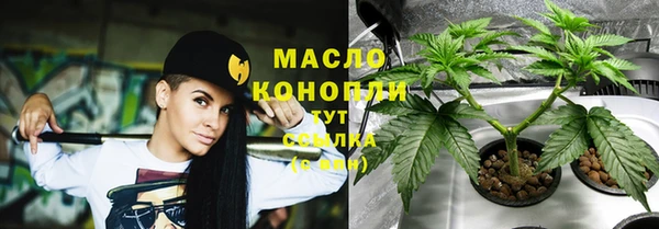 стаф Балахна