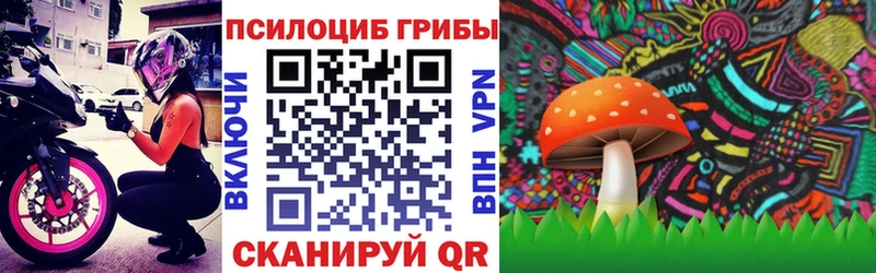 Псилоцибиновые грибы мицелий  Кондрово 